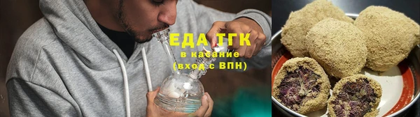 индика Дмитровск