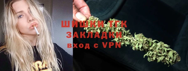 индика Дмитровск