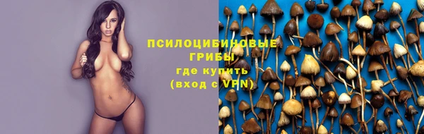 mdpv Дмитриев