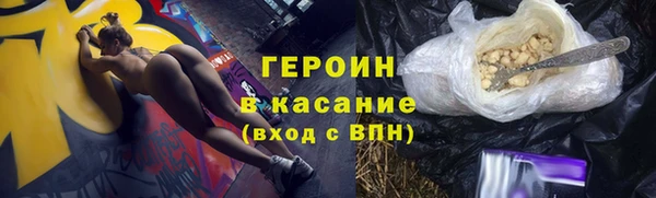 индика Дмитровск