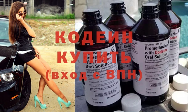 индика Дмитровск