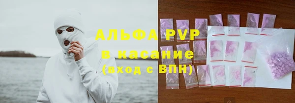 СК Дмитров