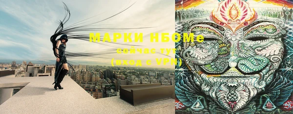 СК Дмитров