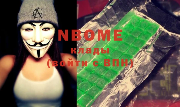 индика Дмитровск