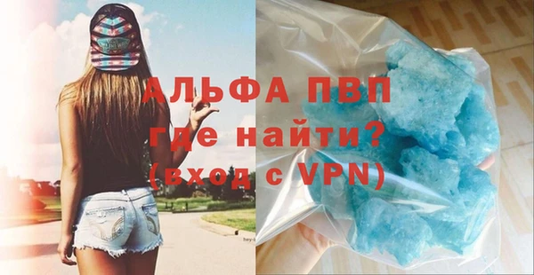 СК Дмитров