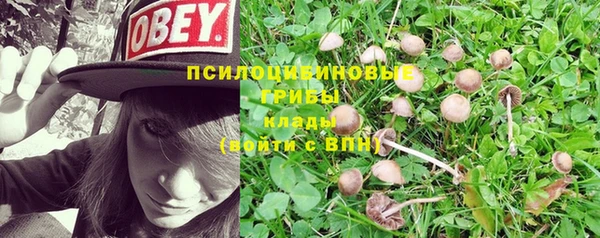 индика Дмитровск